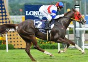 Better Life taking out the 2012 Singapore Gold Cup<br>Photo by Singapore Turf Club